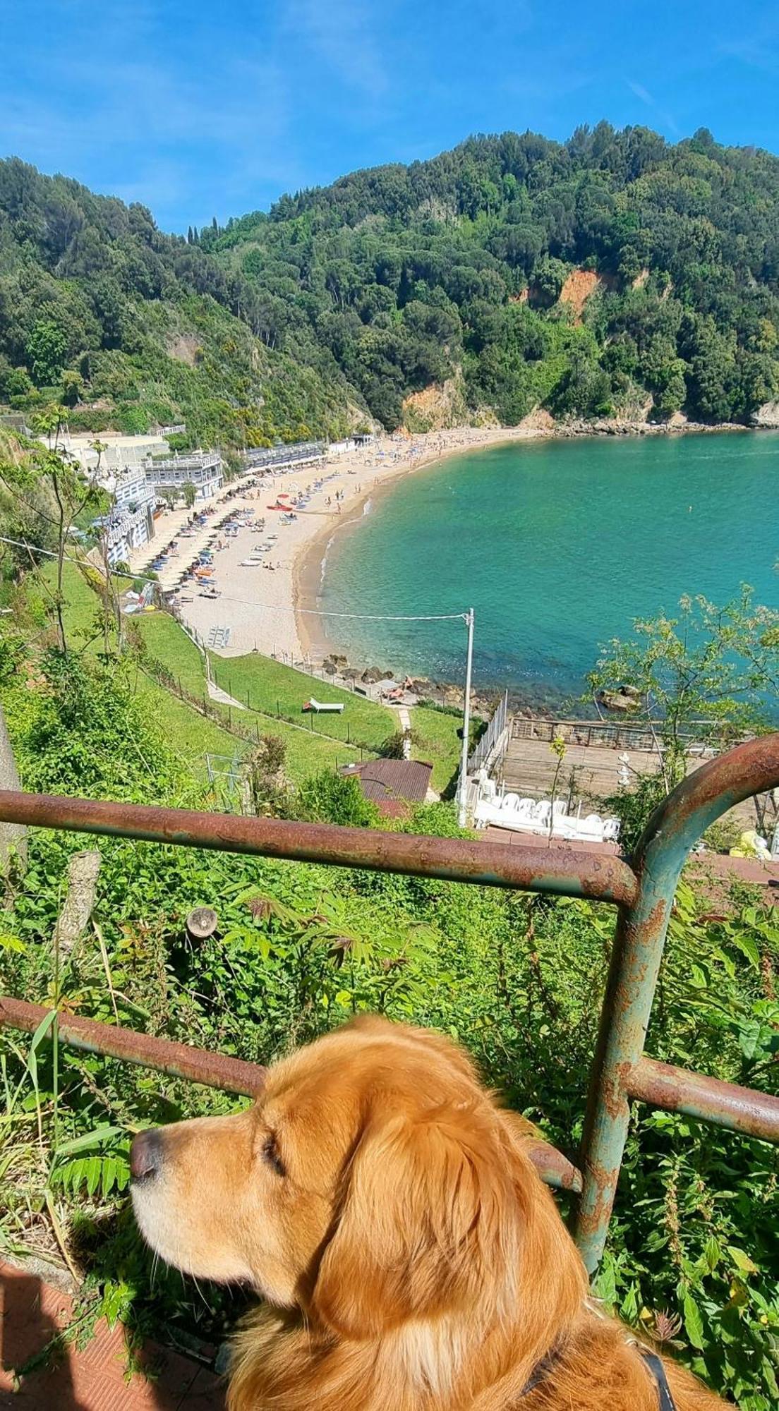 Dalla Raffy * La Spezia